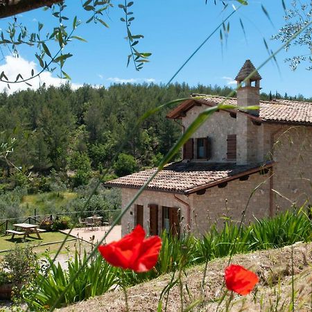 Agriturismo Molino Verde Montecchio  Eksteriør billede