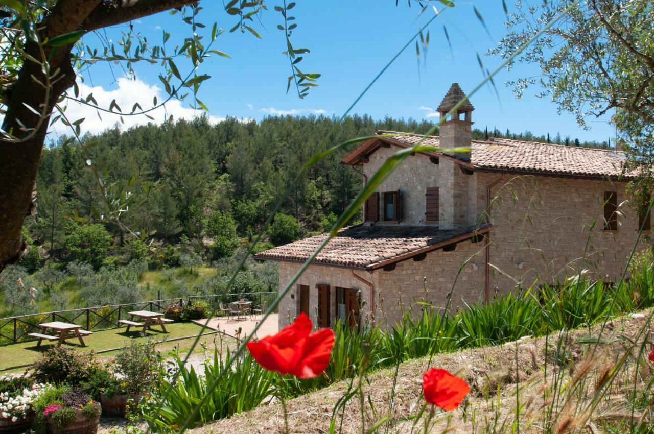 Agriturismo Molino Verde Montecchio  Eksteriør billede