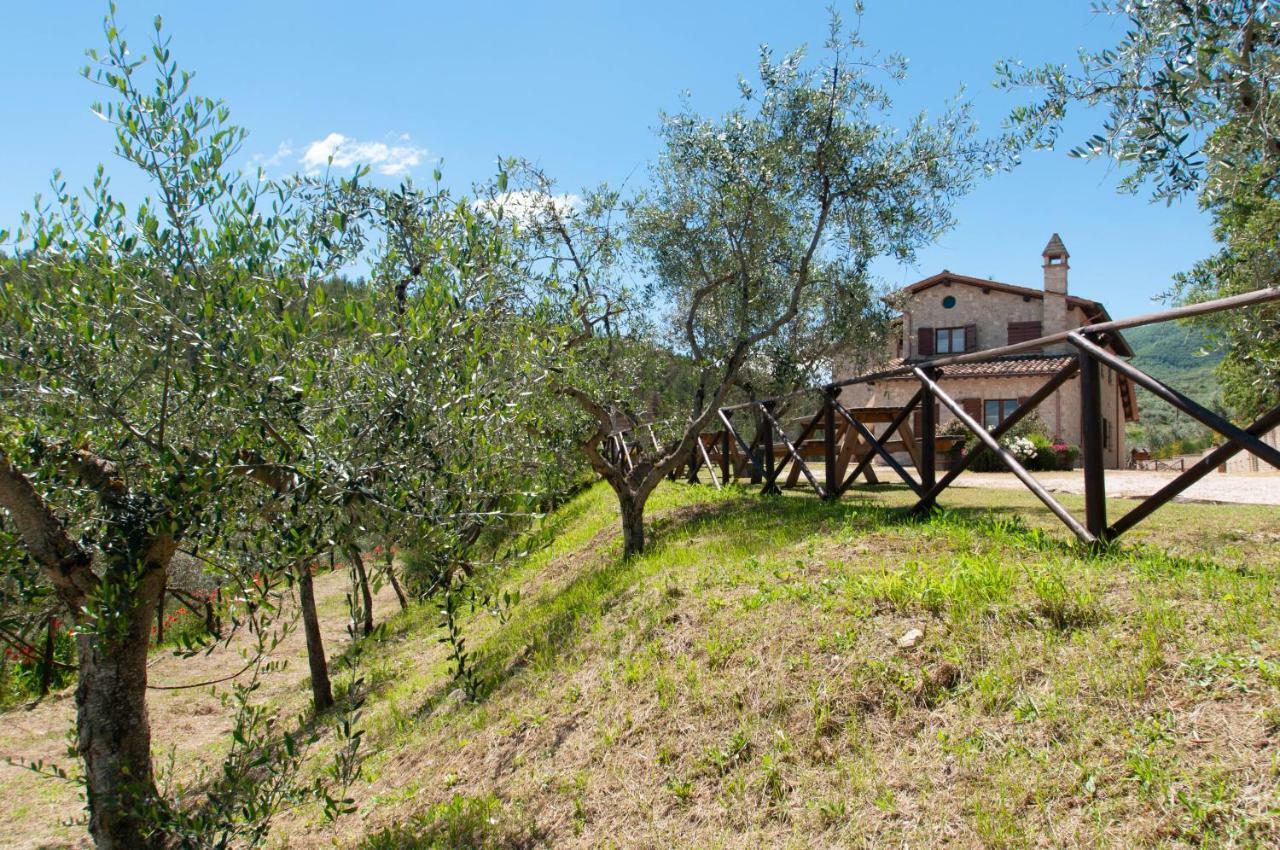Agriturismo Molino Verde Montecchio  Eksteriør billede