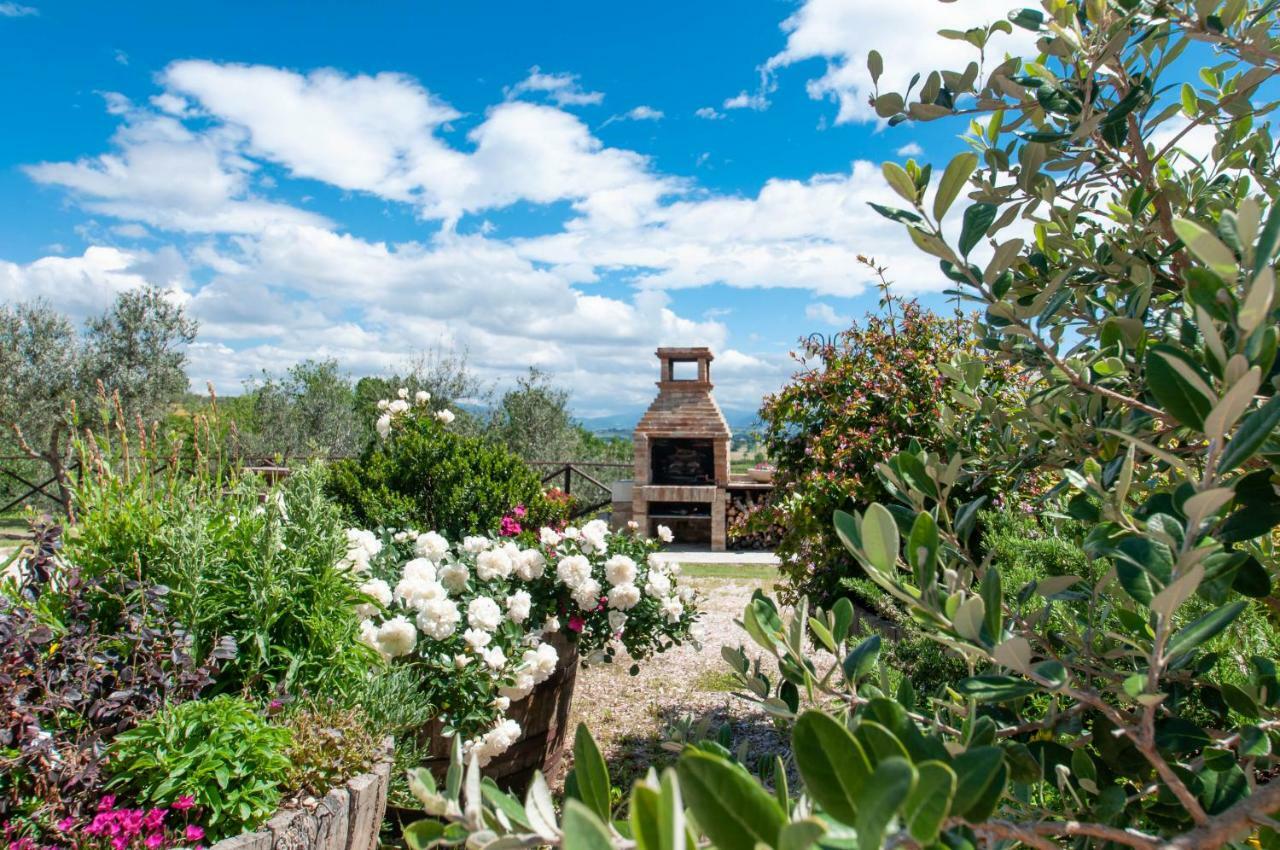 Agriturismo Molino Verde Montecchio  Eksteriør billede