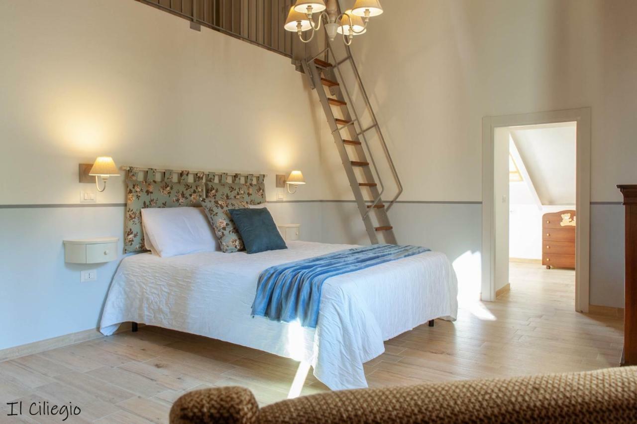 Agriturismo Molino Verde Montecchio  Eksteriør billede