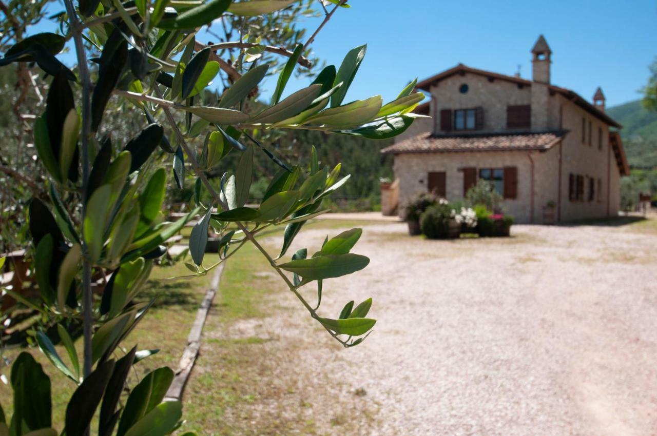 Agriturismo Molino Verde Montecchio  Eksteriør billede