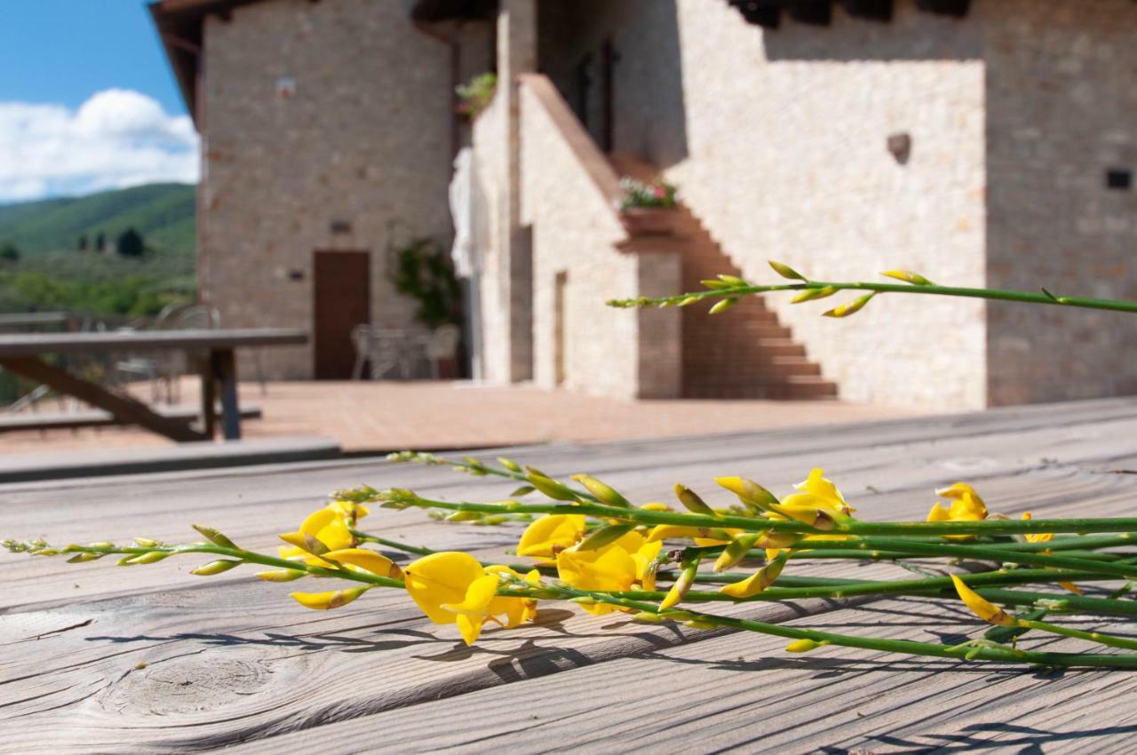 Agriturismo Molino Verde Montecchio  Eksteriør billede