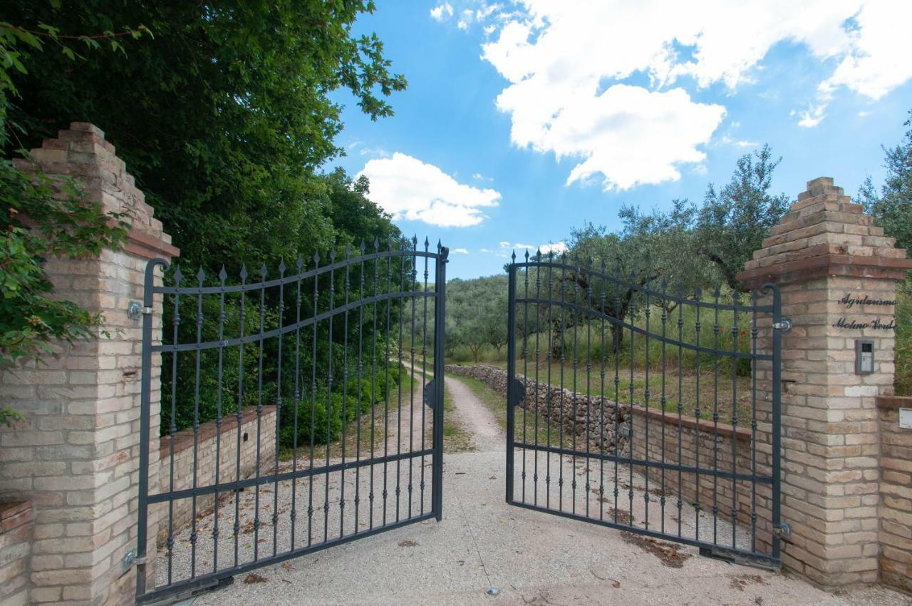 Agriturismo Molino Verde Montecchio  Eksteriør billede