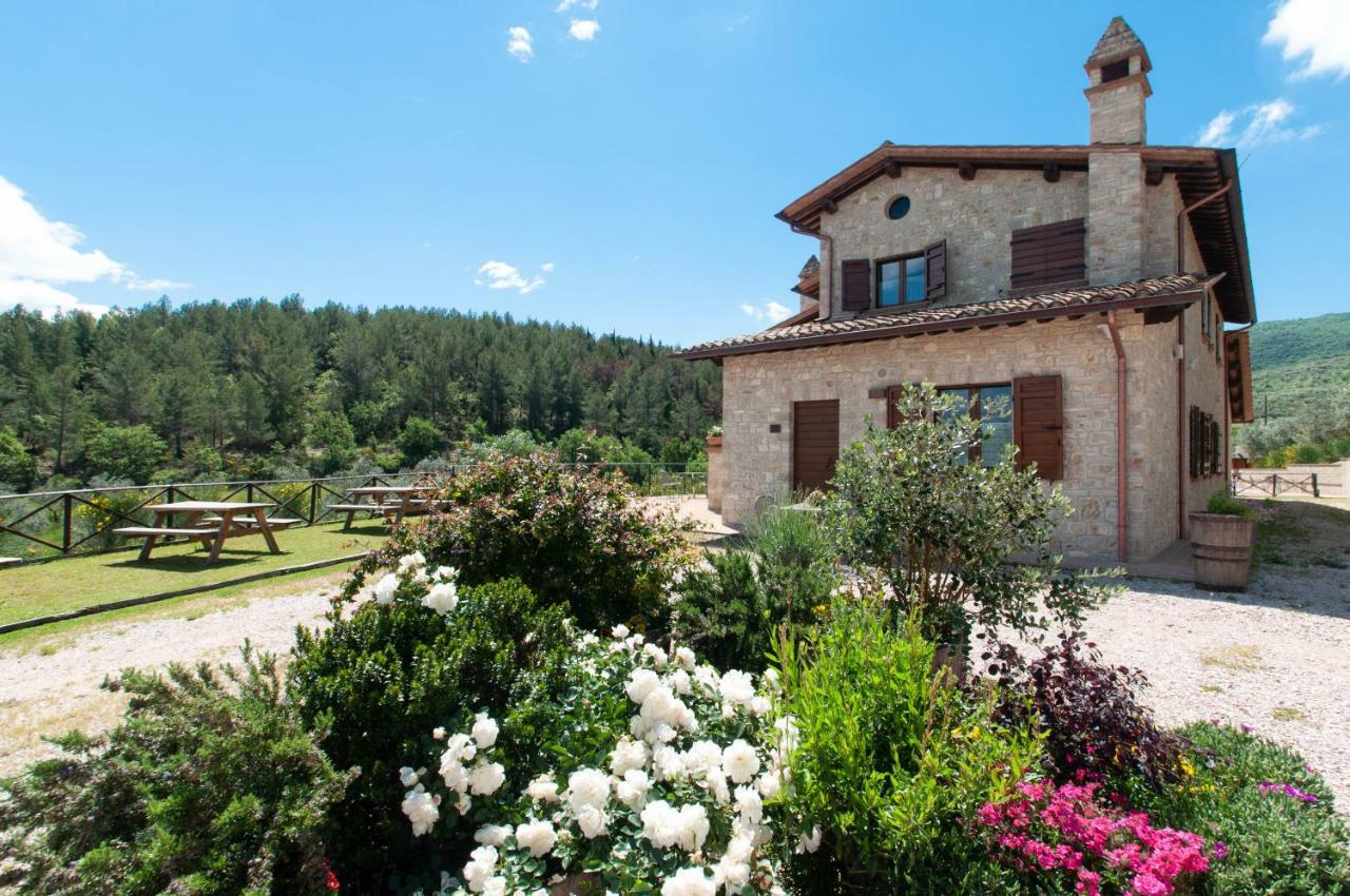Agriturismo Molino Verde Montecchio  Eksteriør billede